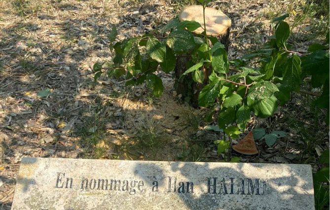 (93) Hommage à Ilan Halimi : un olivier commémoratif abattu à Épinay-sur-Seine
